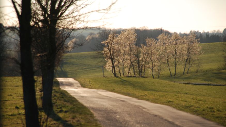 Panoramaweg von Lindlar zum Hölzer Kopf und Besuch im Freilichtmuseum Lindlar