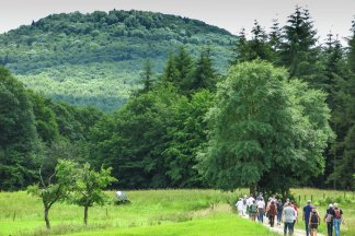 Wanderung zum geheimen Leben der Bäume (Peter Wohllebens Waldakademie)