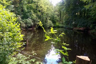 Wanderung von Thielenbruch nach Bensberg