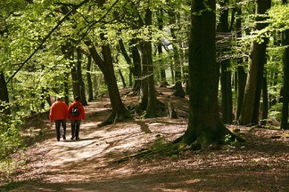 Wanderung mit Gänseessen in Niederdollendorf