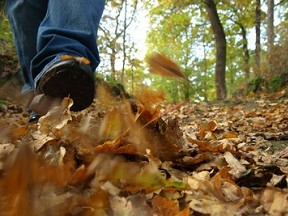 Herbstspaziergang Weißer Rheinbogen mit Einkehr