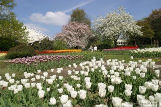 Abgesagt: Führung durch den Grugapark in Essen