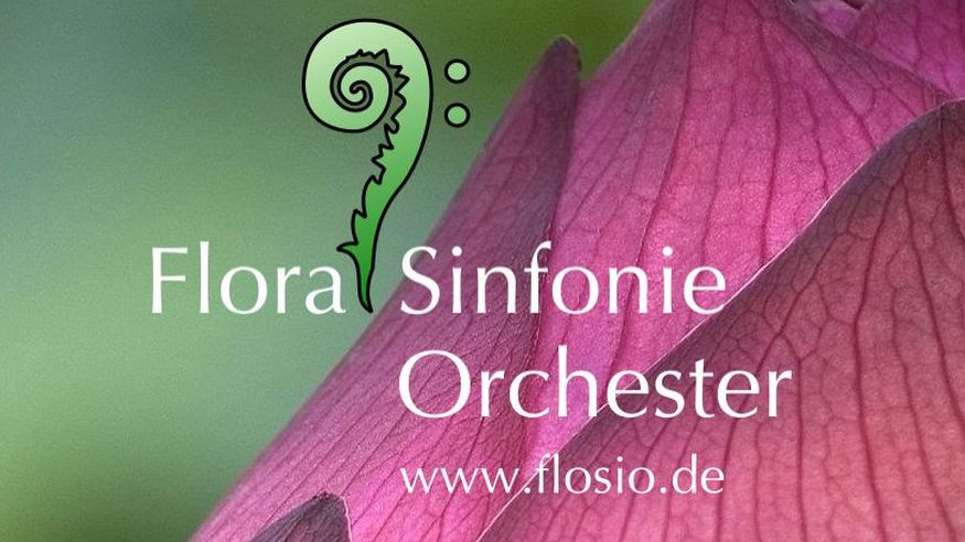 Sinfoniekonzert des Flora Sinfonie-Orchesters: Festkonzert