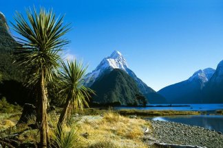 ABGESAGT: grenzgang-Live-Reportage: Neuseeland - Von Aussteigern und Kiwis