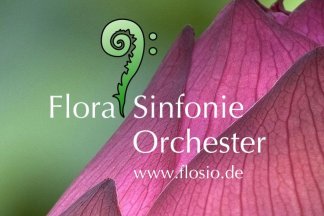 Terminverschiebung auf den 21.03.2021: Sinfoniekonzert des Flora Sinfonie-Orchesters: Festkonzert