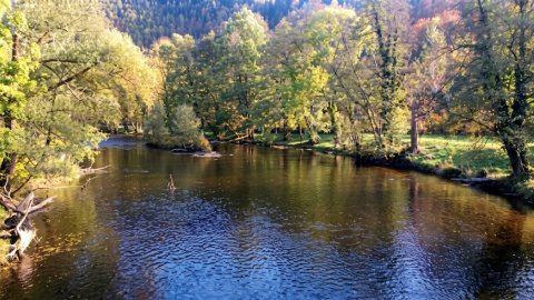 Eventbild